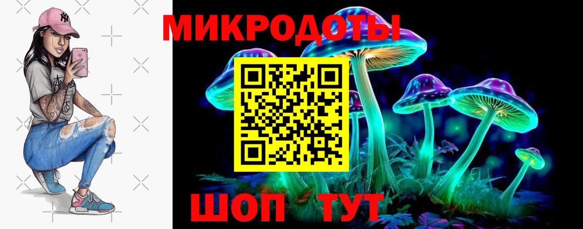 Гусиноозёрск  Псилоцибиновые грибы GOLDEN TEACHER  где можно купить наркотик  Вход с VPN 